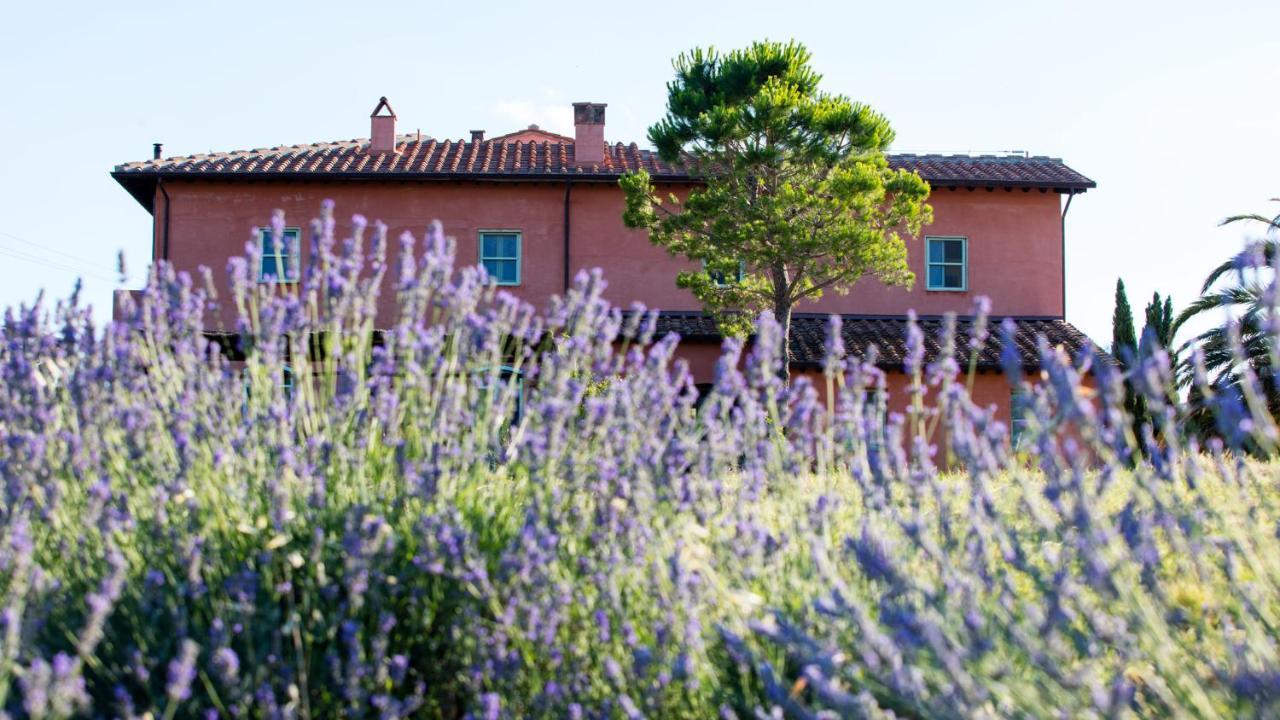 Agriturismo Le Tassinaie Castellina Marittima Exteriér fotografie